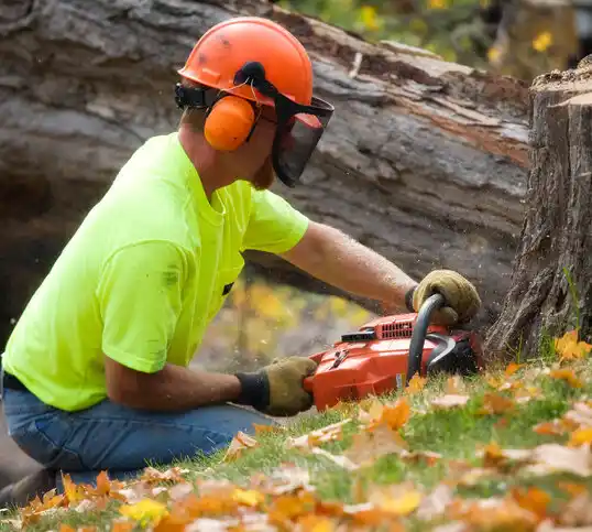 tree services Earlville